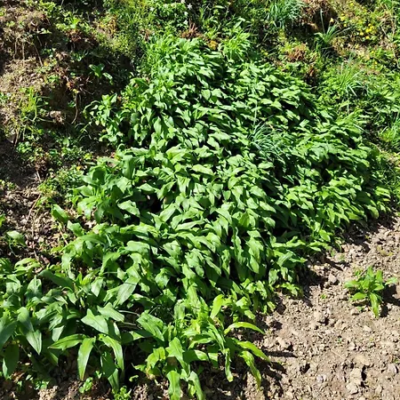 Au Petit Milo, Escapade Au Coeur De La Nature